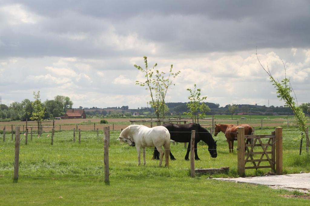 Vakantievilla Passadia Zwevegem Exterior foto